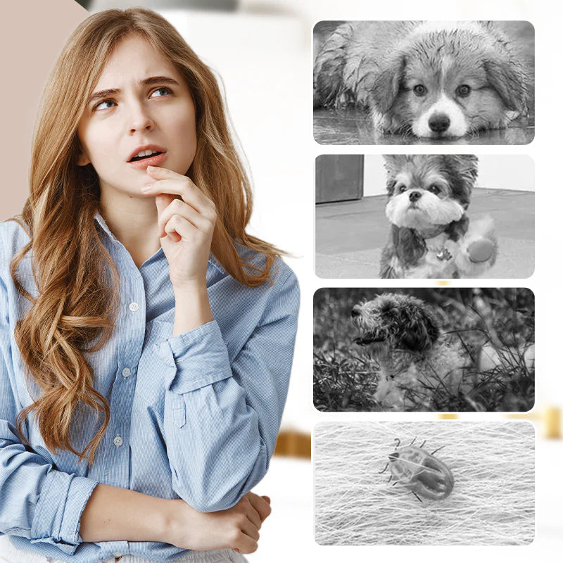 【🐶🐶Chráňte svoje miláčika】Vonkajšie prachotesné nohavice pre psov