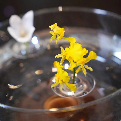 【🔥Kúp 1 získaj 1 zadarmo🔥】Kreatívny plávajúci držiak na kvetinové aranžmány