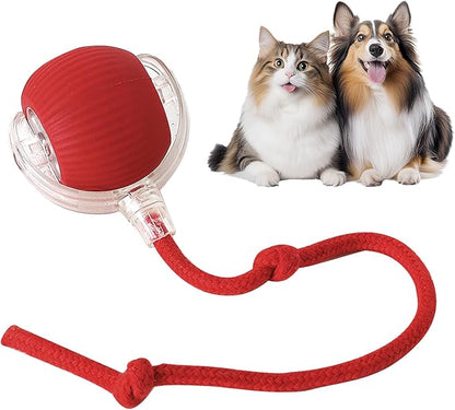 🎁Druhý kus zadarmoInteraktívna hračka pre domáce zvieratá Yopoll